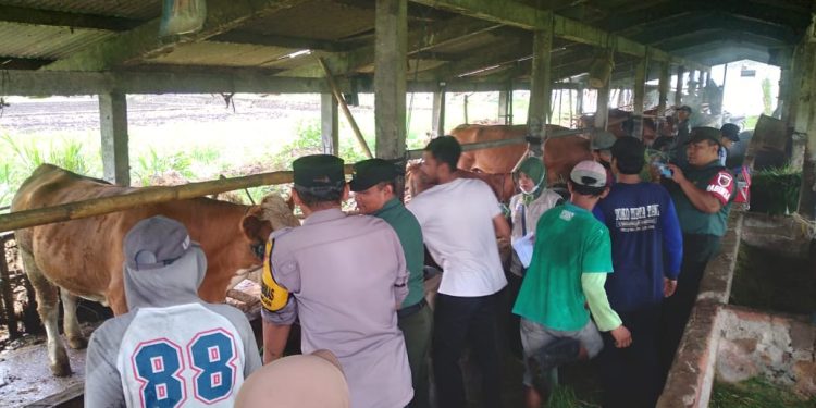 Polsek Kediri Kota  Lakukan Pengawalan Vaksinasi PMK dan Pelayanan Kesehatan Ternak Sapi